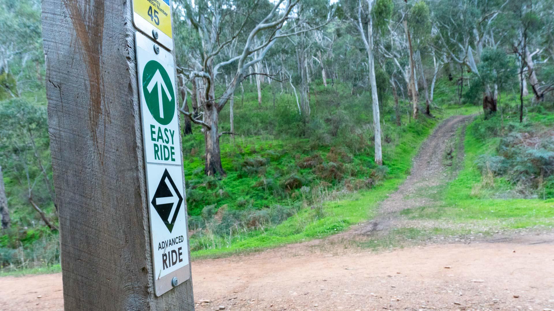 Cleland Mountain Bike Trail Guide